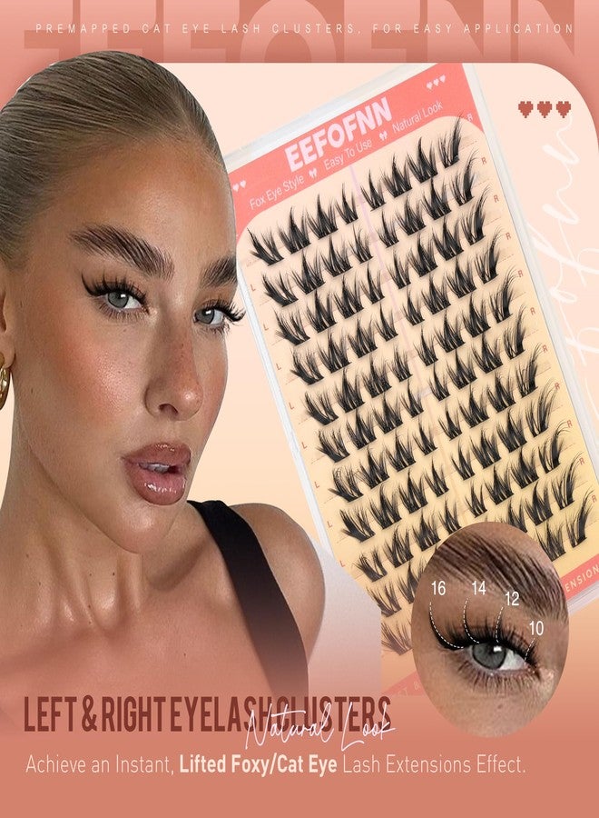 Eefofnn Manga Lash Clusters Cat Eye Cluster Eyelash Extensions Anime Individual Lashes Wispy Eyelash Clusters Fairy Lash Extension Fox Eye Cluster Lashes Fluffy Lash Cluster by EEFOFNN (10-16mm,D Curl) - Image 2